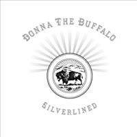 Silverlined