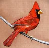 ALEXISONFIRE - Old Crows-young Cardinals