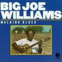 WILLIAMS, BIG JOE - Walking Blues