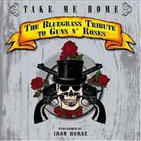 Take Me Home