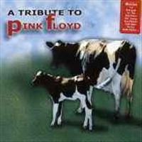 Tribute To Pink Floyd