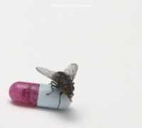 I'm With You - RED HOT CHILI PEPPERS