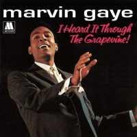 GAYE, MARVIN - I Heard It Throught The..