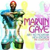 GAYE, MARVIN - Ain't No Mountain High..