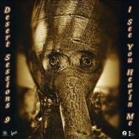 DESERT SESSIONS - Volume 9 And 10