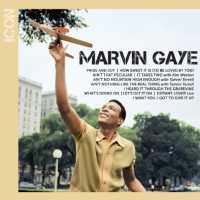 Icon - GAYE, MARVIN