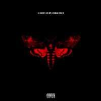 LIL WAYNE - I Am Not A Human Being Ii