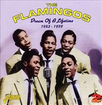 FLAMINGOS - Dream Of A Lifetime..