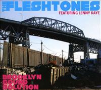 FLESHTONES - Brooklyn Sound Solution Single