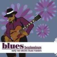 VARIOUS ARTISTS - Blues Beginnings-digi-17t
