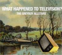 GREYBOY ALLSTARS - What Happened To Tv =digi