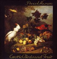 Exotic Birds And Fruit