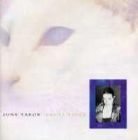 TABOR, JUNE - Angel Tiger