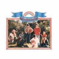 BEACH BOYS - Sunflower-surf's Up