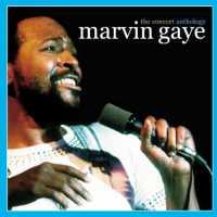 GAYE, MARVIN - Concert Anthology Record