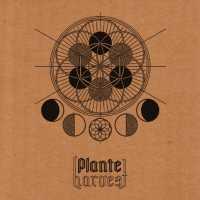 Harvest - PLANTE