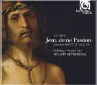 BACH, J.S. - Jesu, Deine Passion