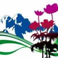 NEW ORDER - International -best Of