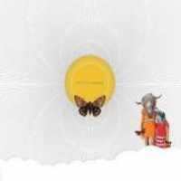 DEATH SENTENCE: PANDA - Insects Awaken CD