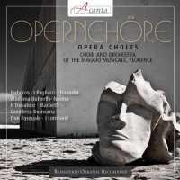 VARIOUS ARTISTS - Opera Choirs