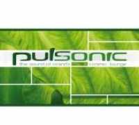 ASTOR, WILLY - Pulsonic -the Sound Of..