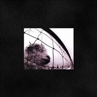 PEARL JAM - Vs.-vitalogy =deluxe=