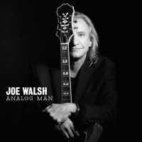 WALSH, JOE - Analog Man Single