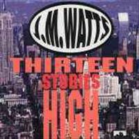 Thirteen Stories High