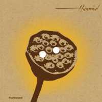 HUMMMEL - Fruchtstand-+download
