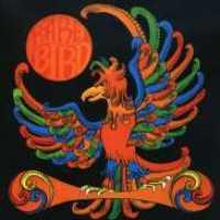 Rare Bird