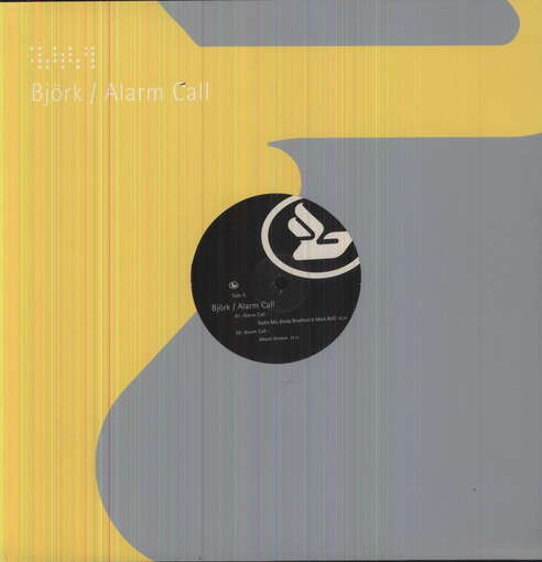 BJORK - Alarm Call -radio Mix-