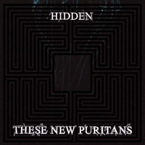 THESE NEW PURITANS - Hidden Album