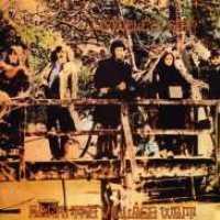 STEELEYE SPAN - Hark! The Village Wait Album