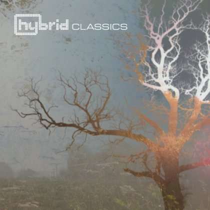 Classics - HYBRID