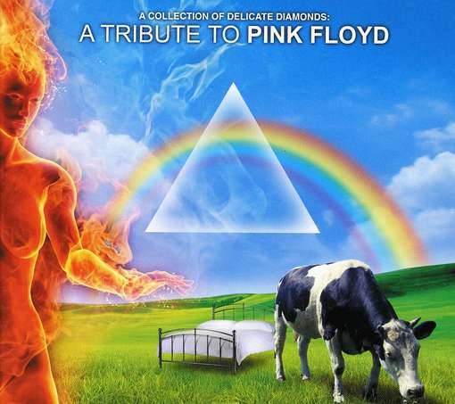 PINK FLOYD.=TRIBUTE= - Collection Of Delicate
