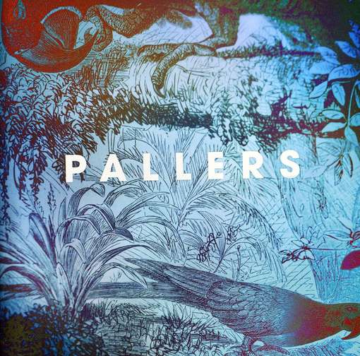 Sea Of Memories - PALLERS