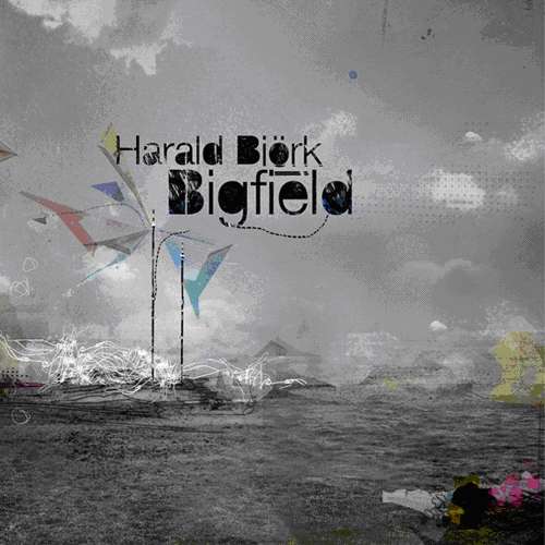 Bigfield -digi- - BJORK, HARALD