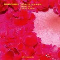 Brainforest