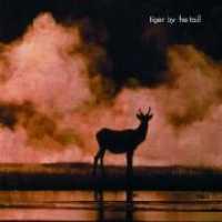 TIGER BY THE TAIL - Tiger By The Tail LP